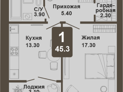 1-комнатная квартира, 45,3 кв.м.